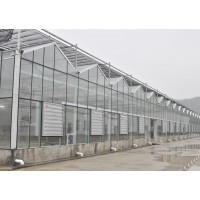玻璃温室项目案例