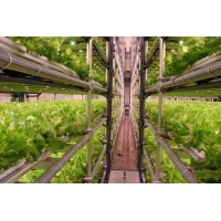 人工光能栽培系统蔬菜食用菌