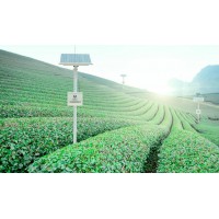 太阳能无线智能灌溉控制器 远程无线灌溉控制器（直流一拖二）