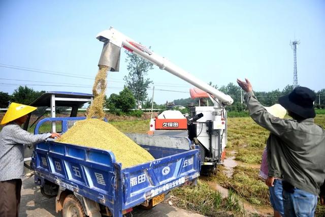 图6：湖北省嘉鱼县，当地调动机械进行早稻收割