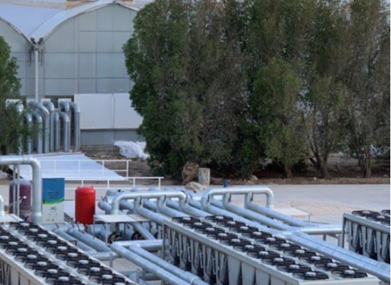 土耳其温室建造者在卡塔尔成功推出了7公顷的Polyclima温室概念 高杰 7.15835