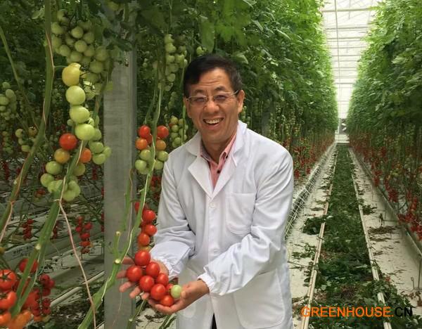 高科技温室将在中国农产品供应中发挥更大作用 高杰 7.27496