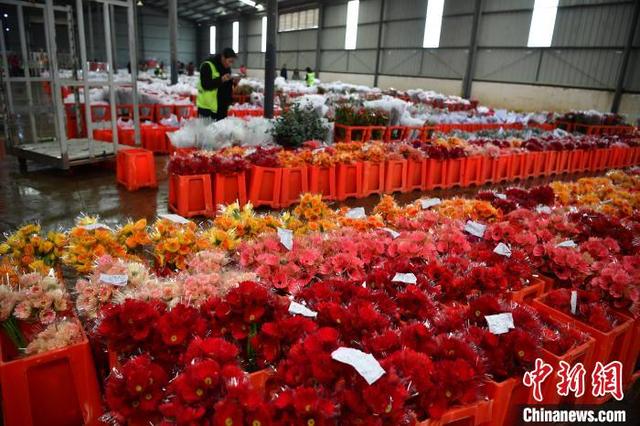 图为昆明花拍中心(资料图)2。 胡远航 摄