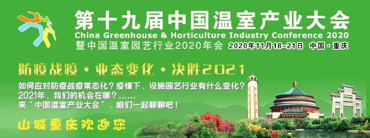 揭秘年会主题：战疫下的安全生产3.webp