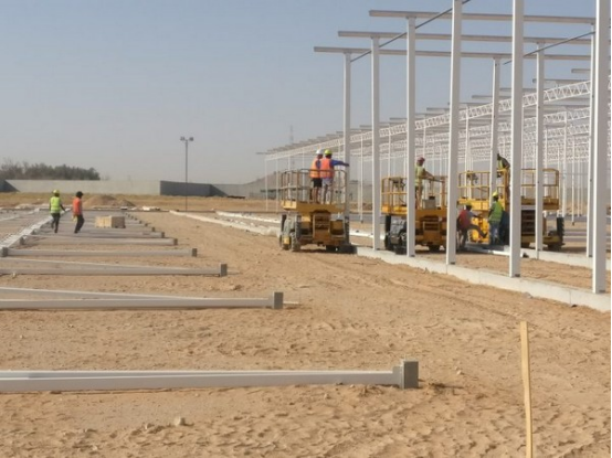 沙特阿拉伯的番茄温室综合设施 275