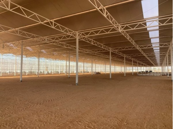 沙特阿拉伯的番茄温室综合设施 306
