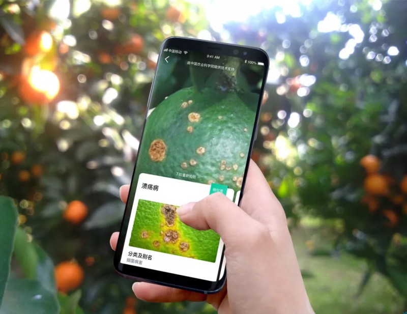 人工智能识别农作物病虫害的手机应用APP慧植农当家1.webp