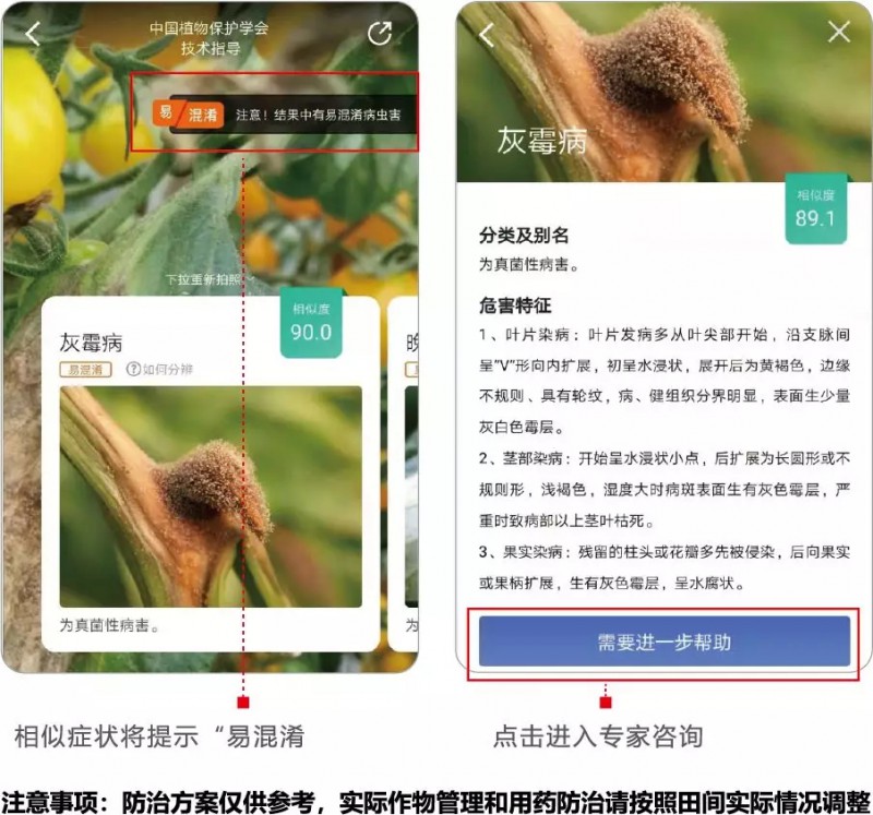 人工智能识别农作物病虫害的手机应用APP慧植农当家3.webp