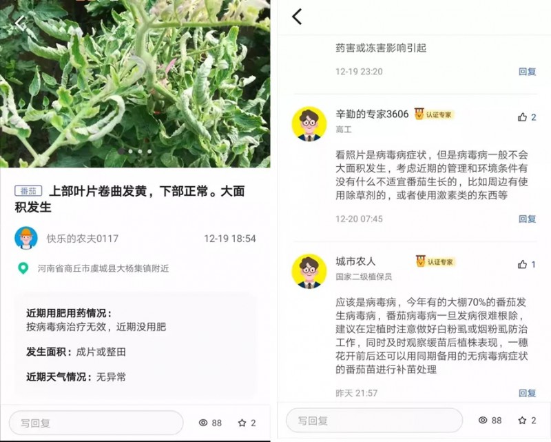 人工智能识别农作物病虫害的手机应用APP慧植农当家4.webp