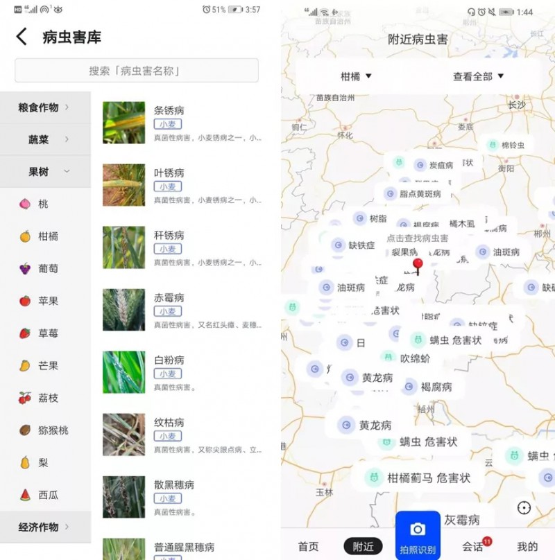 病虫害库与附近病虫害预警.webp