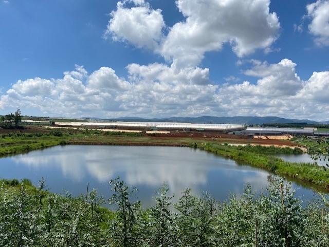越南Dalat Hasfarm农场14公顷扩建工程即将竣工