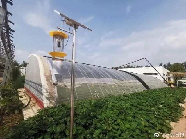 首都菜篮子装满科技果2