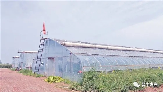 单模棉被新型拱棚外景.webp