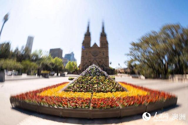 澳大利亚悉尼市推出生动色彩花卉展a
