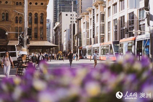 澳大利亚悉尼市推出生动色彩花卉展d