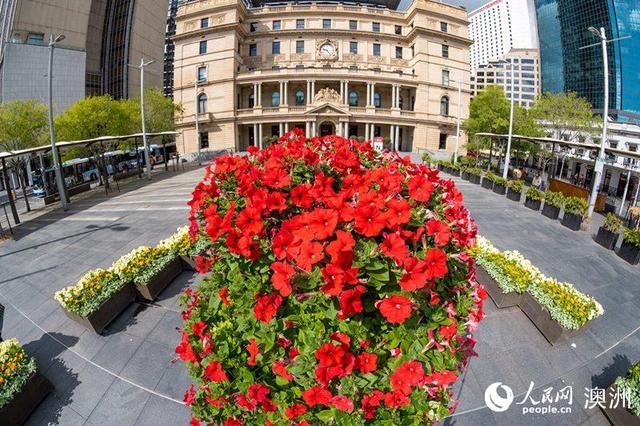 澳大利亚悉尼市推出生动色彩花卉展e