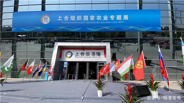9、上合生活馆