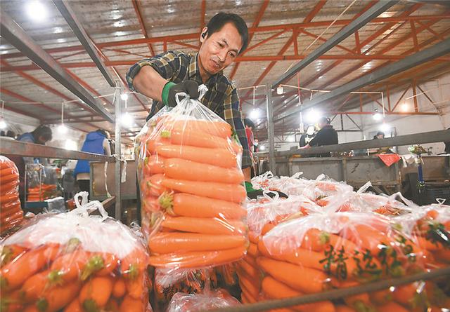 永清全力打造独具特色的临空都市农业样板区