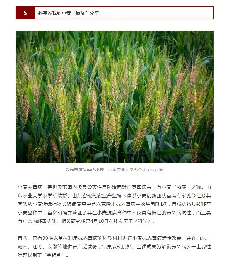 微信图片_20210121095150