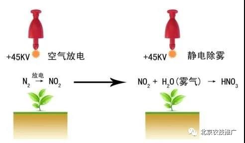 3.静电除雾器原理