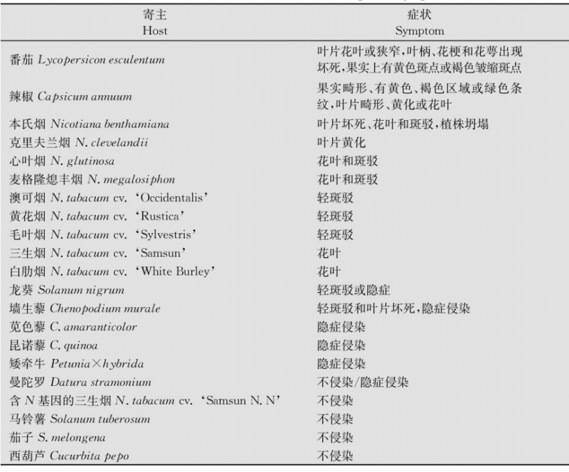 ToBRFV的寄主范围和侵染引起的症状