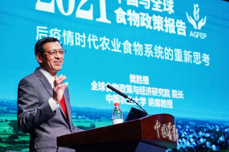 中国农业大学文科讲席教授、全球食物经济与政策研究院院长樊胜根
