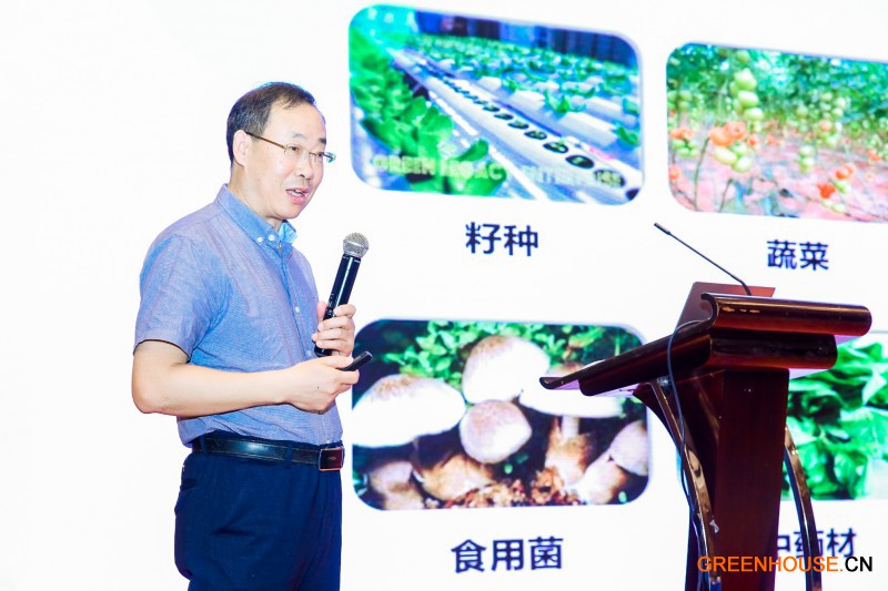 农业农村部规划设计研究院周长吉研究员做报告