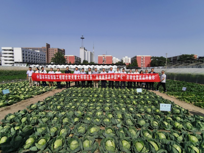 “高端蔬菜品种国产化”重大任务在京启动，与会人员观摩新育成的一批优质蔬菜新品种