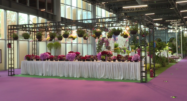 图12 兰桂骐农业科技（上海）有限公司设计的不同的活动及花境（花艺）场景3