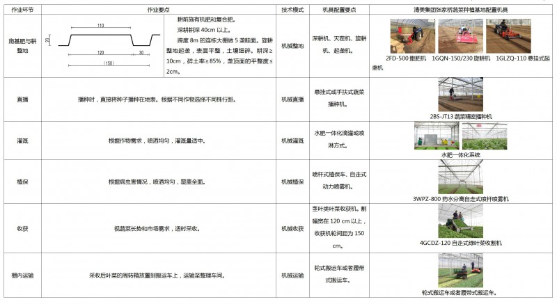 上海设施茎叶类蔬菜机械化生产模式与典型案例_01_副本