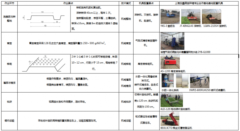 2.上海设施中棵