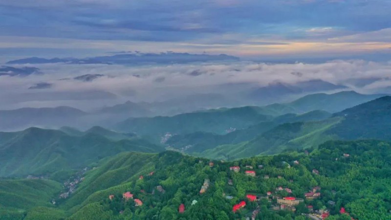 6月21日晨，雨后天晴的德清县莫干山出现日出云海的壮美景观，连绵峰林间云蒸霞蔚，美不胜收