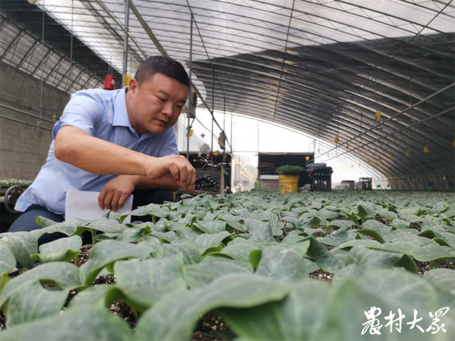 兰陵县向城镇鸿强蔬菜产销专业合作社负责人郭军见