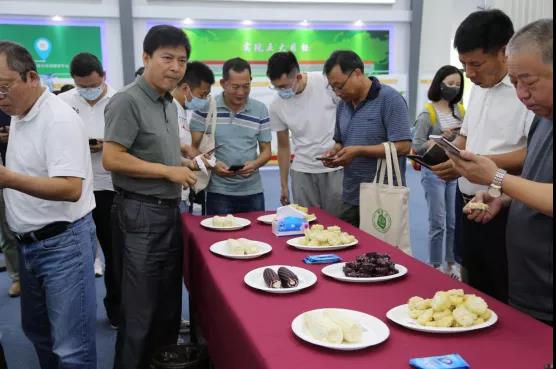 2021年第七届北京鲜食玉米节在北京通州国际种业科技园区举行