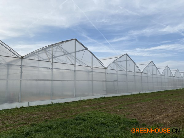 德国建成一座新的有机蔬菜温室