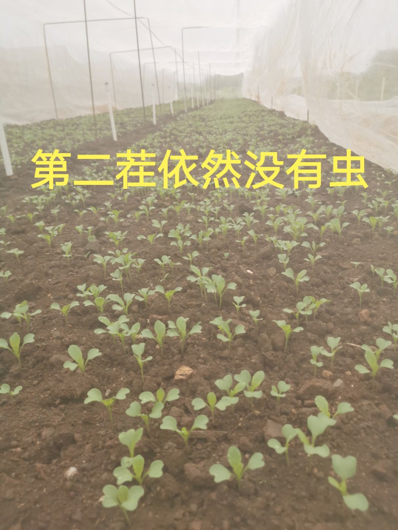微信图片_20220310145618