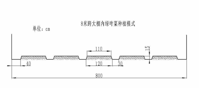 1.南方设施绿叶类蔬菜标准化种植模式