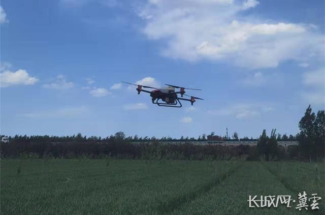 无人机在农田进行农药喷洒作业。通讯员 范素素 供图