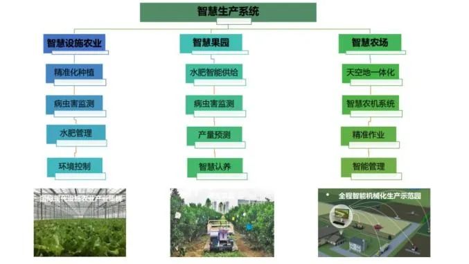 洛阳农发集团倾力打造百亩无土种植智能温室8