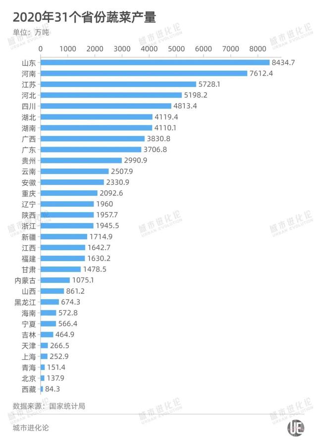 2020年31个省份蔬菜产量