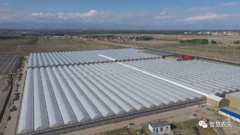 新疆霍尔果斯现代农业科技产业园1