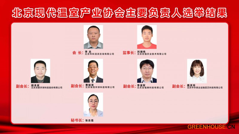 主要负责人选举结果