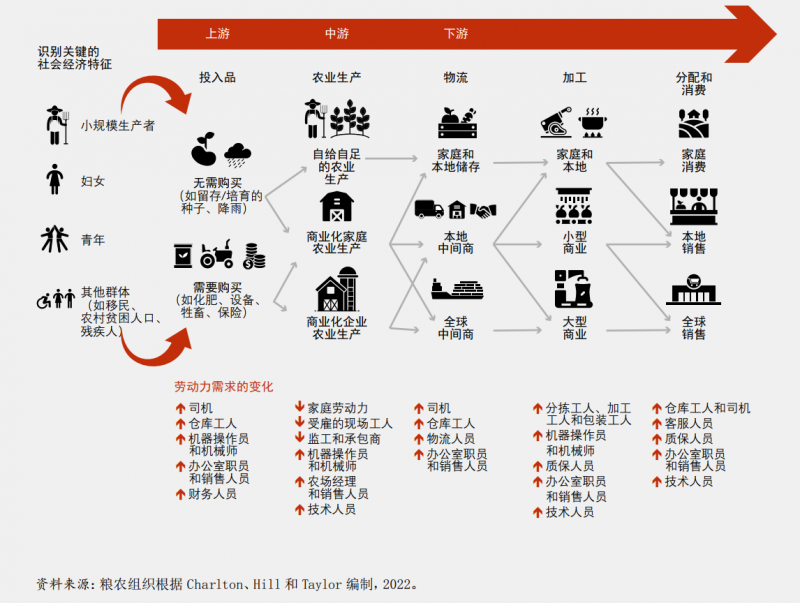 从农业粮食体系的视角看自动化对就业的影响。©粮农组织 《2022年粮食及农业状况》报告