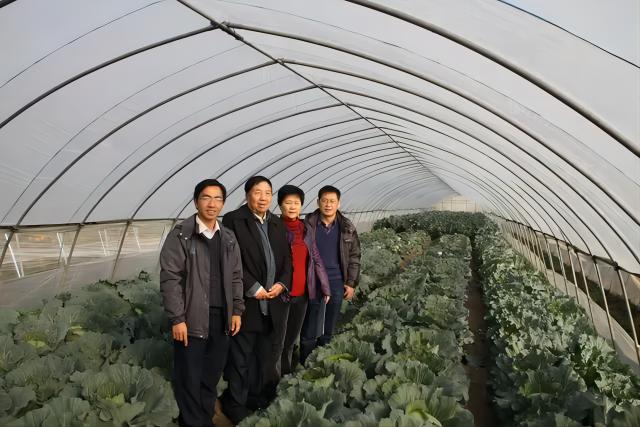 2012年12月，方智远院士（左二）和杨丽梅（左三）、庄木（左四）、张扬勇（左一）在安徽调查甘蓝品种试种情况。(1)