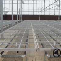 大棚可移动温室苗床厂家 固定防腐种植架床 可定制