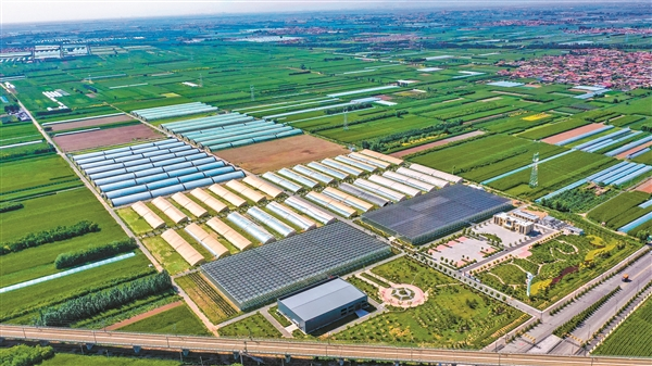 晋中国家农高区设施农业示范基地