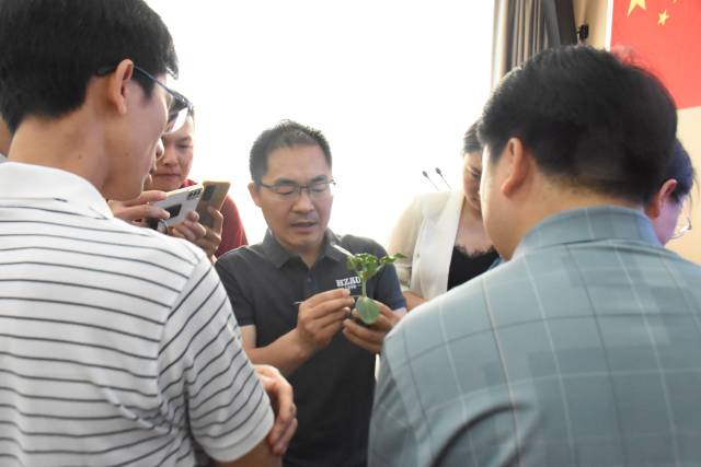 8华中农业大学副教授黄远与同行们交流着嫁接新工具的使用