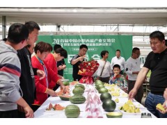 国内首场小型西瓜产业交流会在济南成功举办