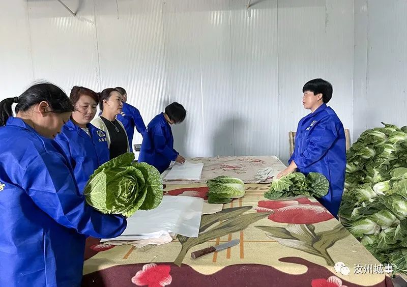 汝州首家蔬菜出口基地备案成功2