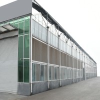 智能温室 全自动智能玻璃大棚 蔬菜玻璃大棚 玻璃温室大棚设计